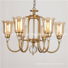 6 Lights Glass Shade Pendant Lamp (SL2214-6)